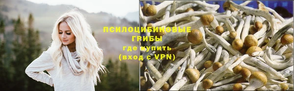 марки lsd Нязепетровск