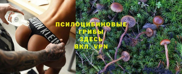 хмурый Нягань