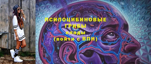 тгк Осташков