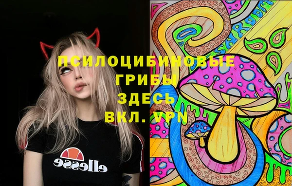 хмурый Нягань