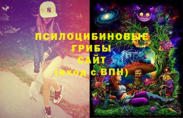 ECSTASY Няндома