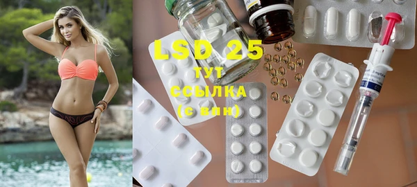 ECSTASY Няндома