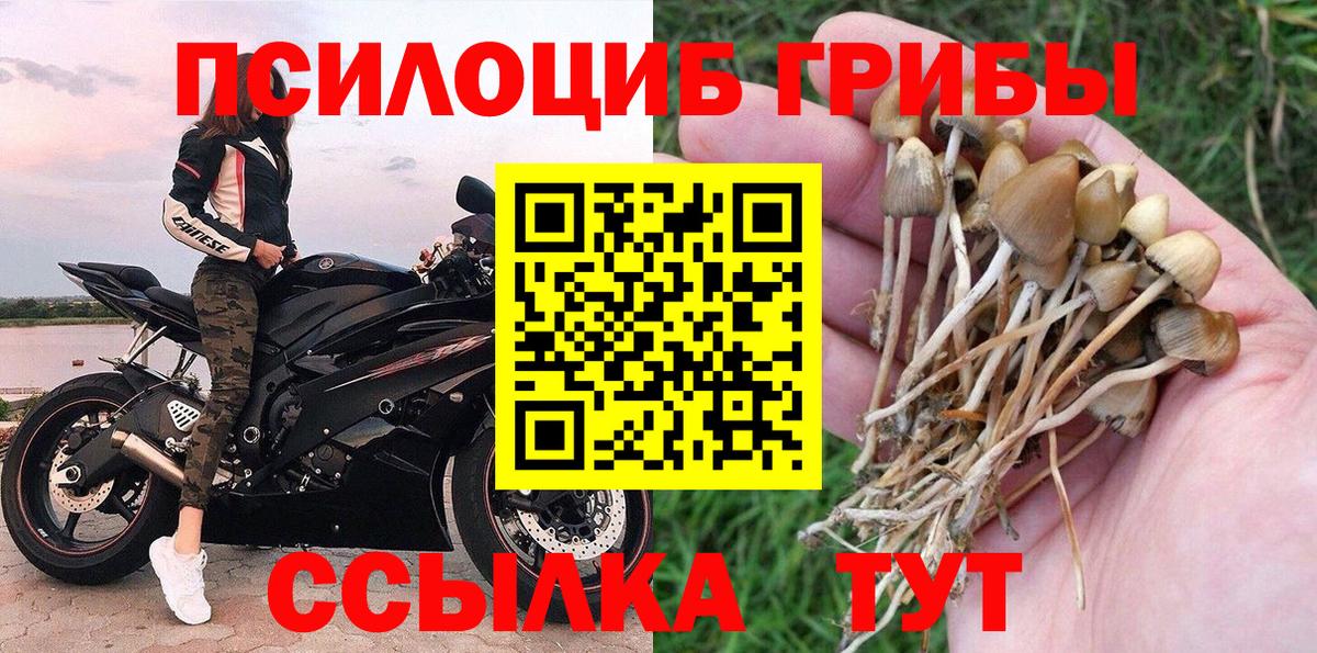 Псилоцибиновые грибы прущие грибы  Галлюциногенные грибы мухоморы  Владивосток  наркотики  Вход с VPN 