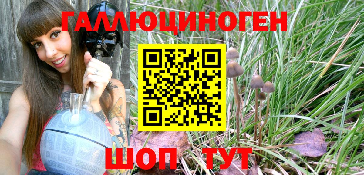 Галлюциногенные грибы прущие грибы Владивосток