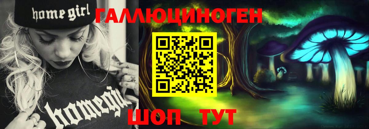 Псилоцибиновые грибы GOLDEN TEACHER  Владивосток 